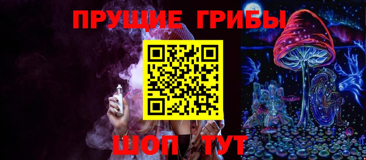 Псилоцибиновые грибы Psilocybe  Вход с VPN  Северодвинск 